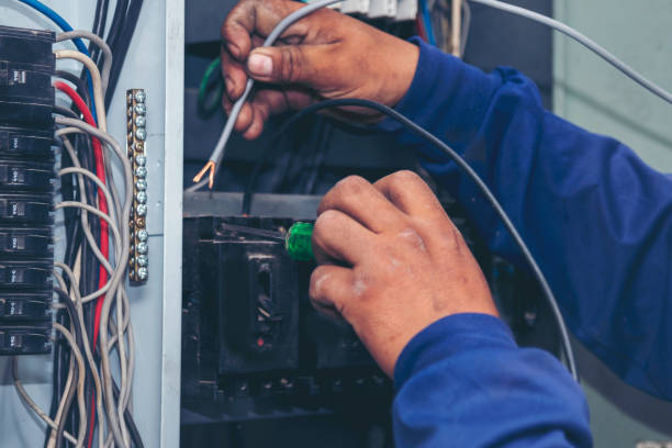 Best Home Electrical Repair  in Menomonie, WI